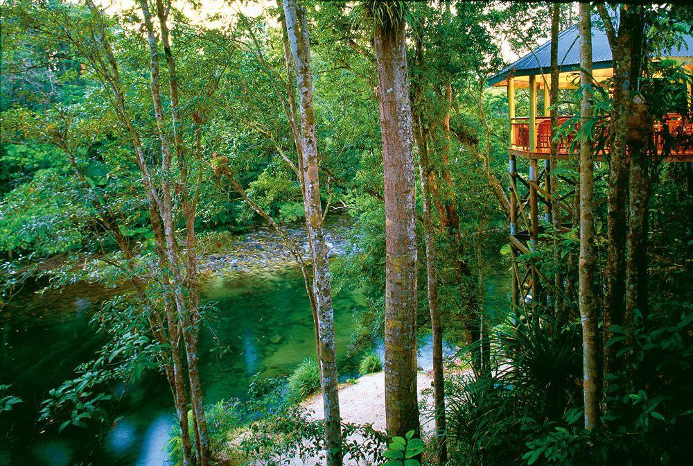 Silky Oaks Lodge Mossman Eksteriør bilde